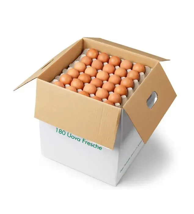 UOVA XLNT X100 SFUSE CAT A