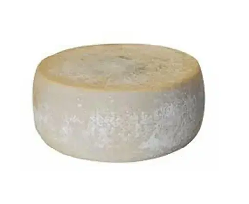 CACIOTTA AL KG
