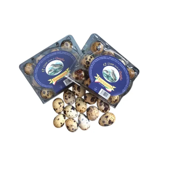 FORN. UOVA QUAGLIA X 12 PZ A CONF