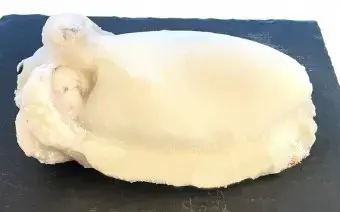 SEPPIE GHANA 1500/2000 IQF PULIT. 12 KG