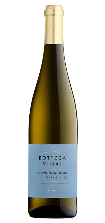 SAUVIGNON BLANC BOTTEGA VINAI CL 75