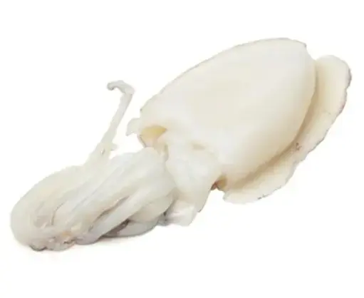 29306 - SEPPIA PULITA MAROCCO 1000/1500 1 X 12 AL KG