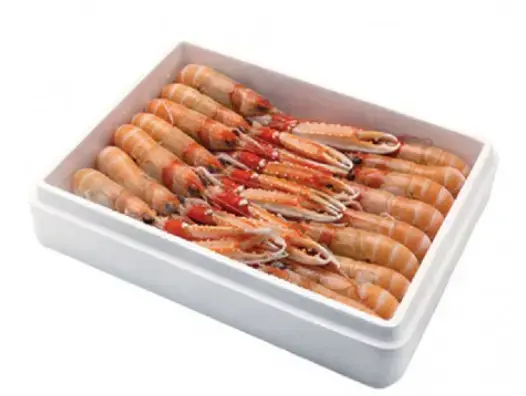 508759 - SCAMPI DANIMARCA MARIUS 31/40 6 X 700