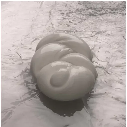 MOZZ. BELLA NAPOLI TRECCIA 250GR