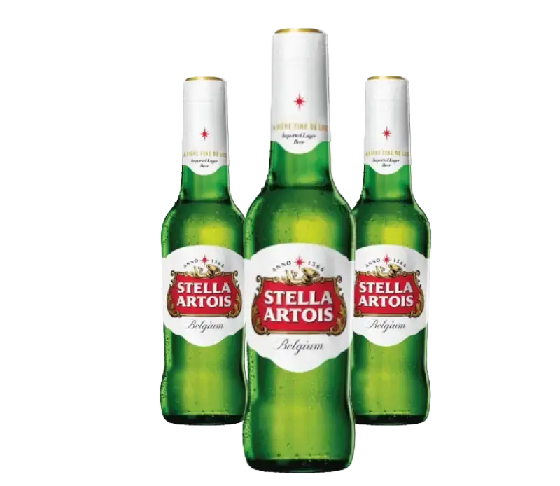 BIRRA STELLA ARTOIS 0.33 X 24