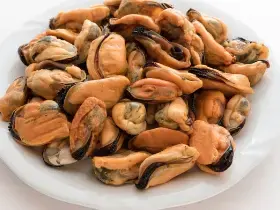 0154 - COZZE CILENE SGUSC. 200/300 10 X 1