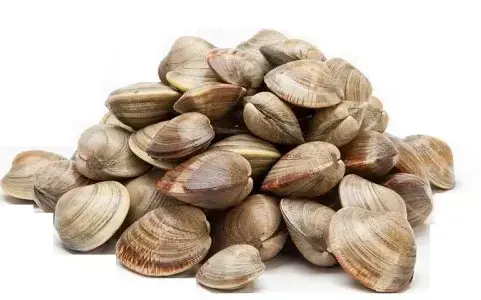 0556 - VONGOLE DEL PACIFICO SG. 700/1000 4 X 1