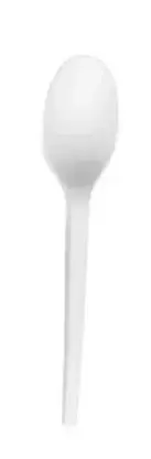 CUCCHIAIO  BIO-ECO C-PLA PZ 50  1VP322