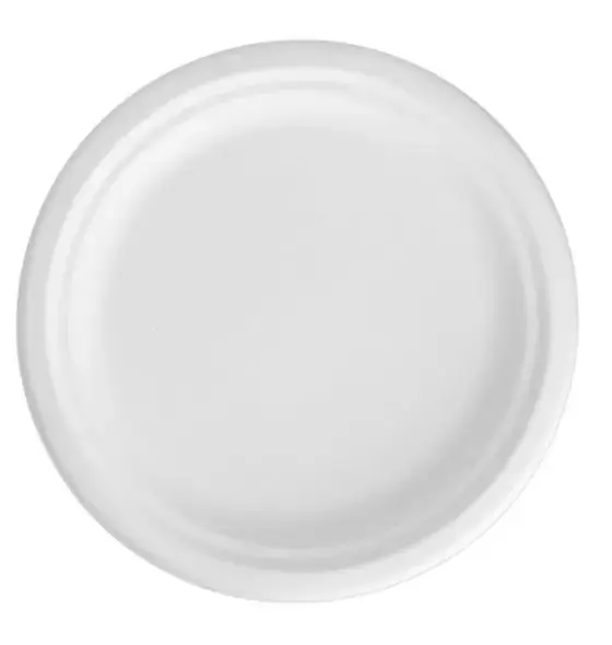 PIATTI PIANI BIO-ECO DM 22  PZ 50 YDP006