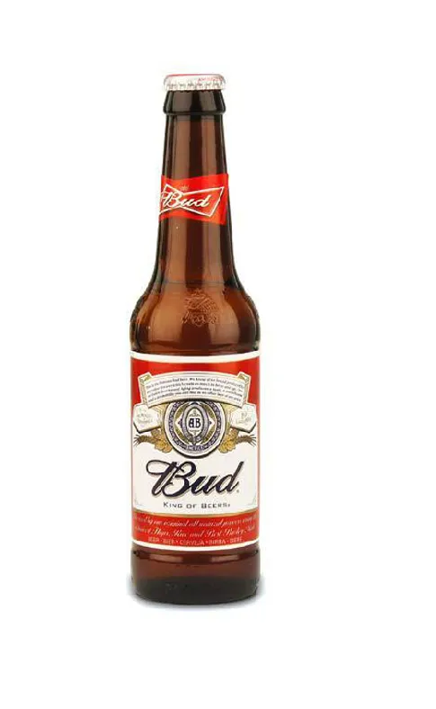 [PART9] BIRRA BUD 0.33 X 24