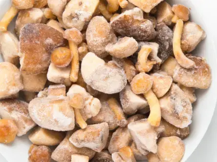 [VERSILFUNGO006] MISTO DI FUNGHI CON PORCINO 10% KG. 1