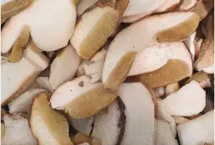 [VERSILFUNGO009] FUNGO PORCINO CONGELATO LAMINA PRIMA SCELTA KG. 1