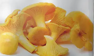 [VERSILFUNGO011] FUNGO GALLETTO (FINFERLI) CONGELATO KG. 1