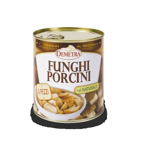 [X002385] PORCINI AL NATURALE GR 800 DEMETRA
