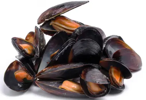 [X002812] COZZE C/GUSCIO CILE CONGELATE KG 1