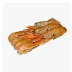 [X002824] SCAMPI 17/20 CONGELATI GR. 750 SGOCC.