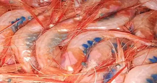 [X015034] GAMBERI GOBBETTI ( CT 4.5 K ) A CARTONE